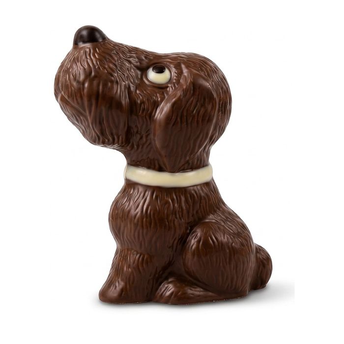 Chocolade hond